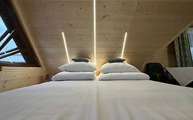 Willa Aleksandrówka